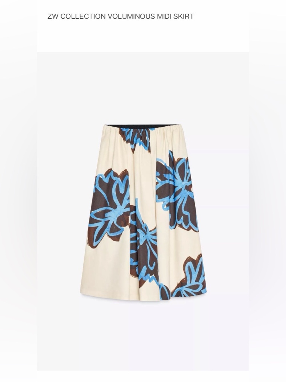 Zara’s Midi Skirt